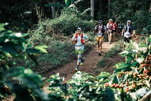 BIB: 
                            <button type="button" onclick="openModal(25853376)" class="btn btn-primary btn-sm float-right btn-popup" data-toggle="modal" data-target=".modal-high-quality">
                        <i class="fas fa-shopping-cart"></i> Add to Cart
                    </button>
                                            <button type="button" onclick="isThisMe(25853376, true)" class="btn btn-success btn-sm float-right btn-popup btn-isme hidden" data-toggle="tooltip" data-placement="bottom" title="นี่คือรูปของคุณใช่ไหม คลิกที่นี่เพื่อเอาเข้าอัลบั้ม">
                        <i class="fas fa-plus"></i> Add to album
                    </button>
                    <button type="button" onclick="isThisMe(25853376, false)" class="btn btn-warning btn-sm float-right btn-popup btn-isnotme hidden">
                        <i class="fas fa-ban"></i> Remove from album
                    </button>